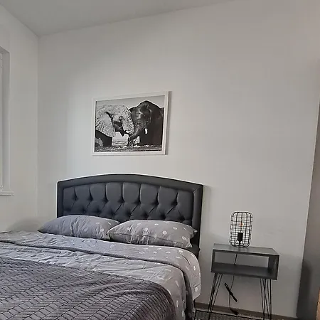 Elephant * Banja Koviljača